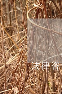 法律咨询建议书 格式 法律咨询建议书 格式